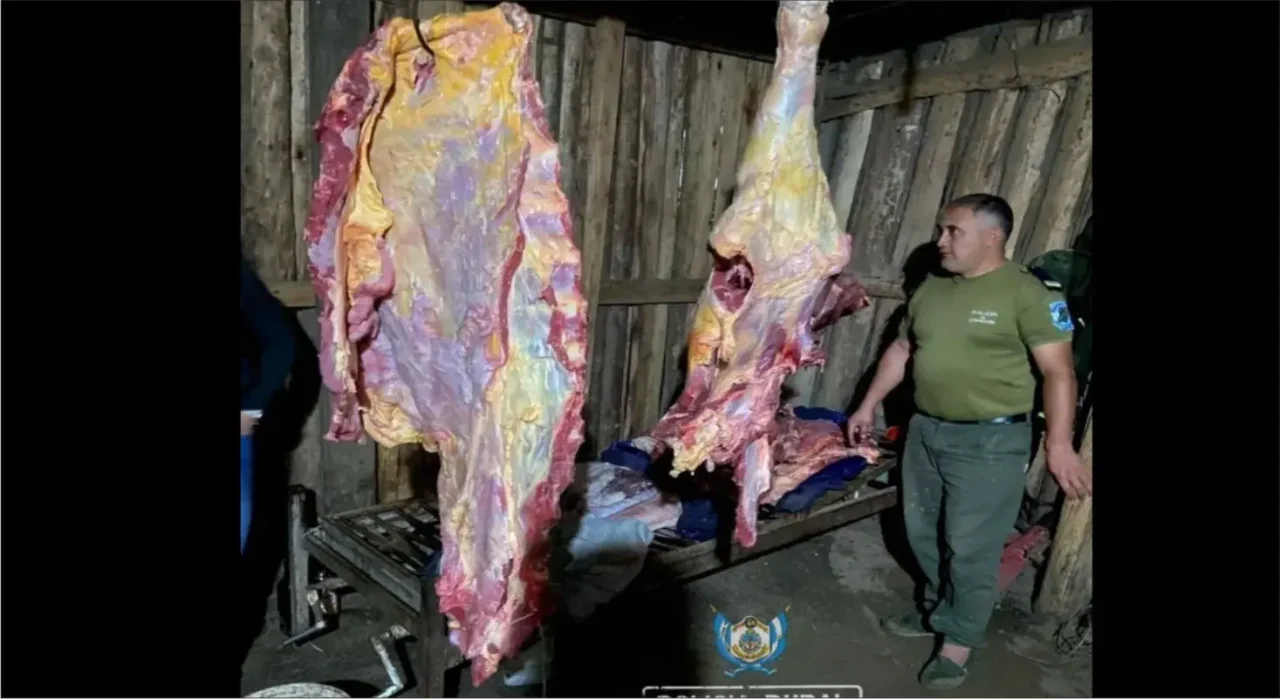 La Policía Rural Desmantela Red de Faena Ilegal en Ituzaingó