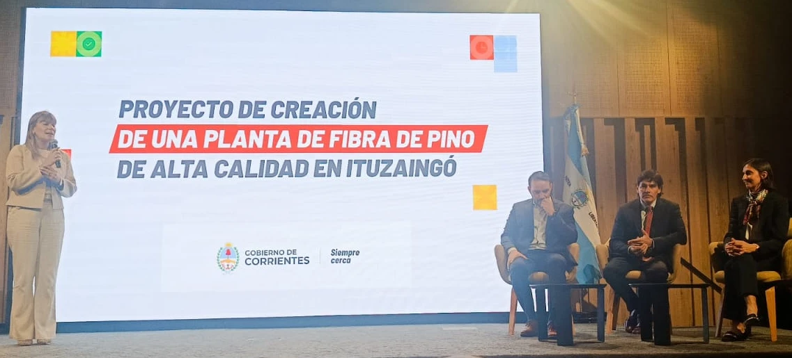 Proyecto Ituzaingó Corrientes industria forestal