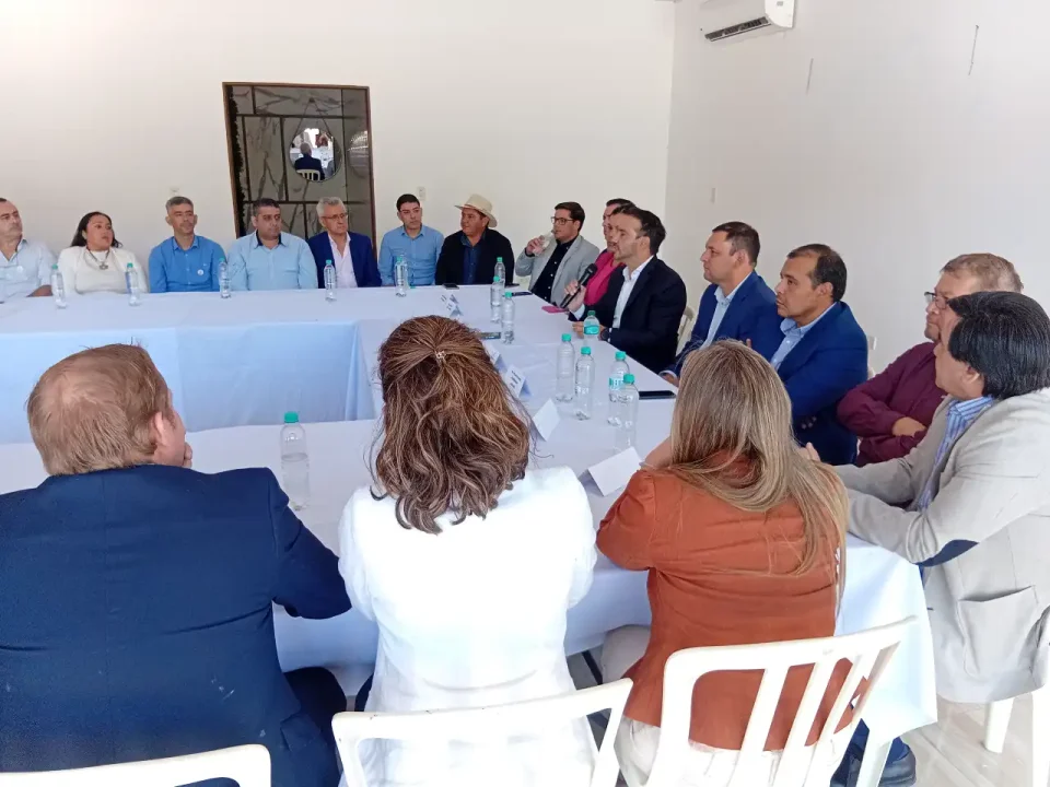 Proyectos de Desarrollo Conjunto