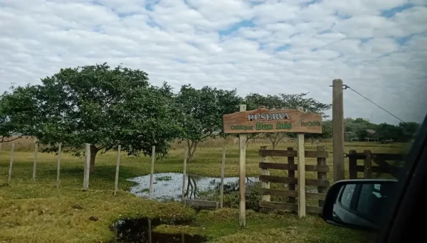 Reserva Natural Don Luis Ituzaingó