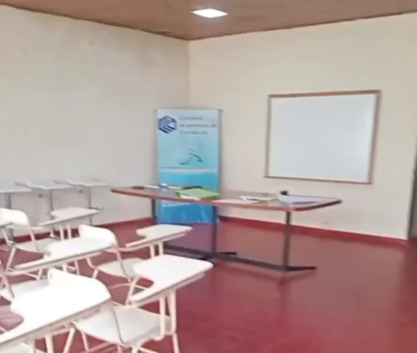¿Por qué es importante participar